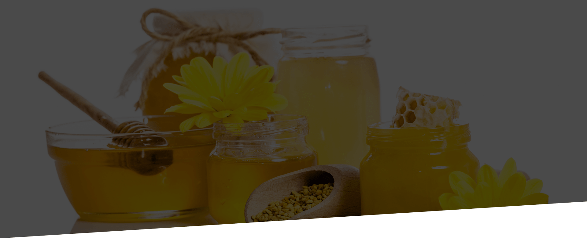 proizvodi-od-meda-header