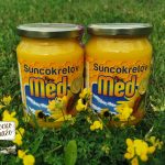 suncokretov med